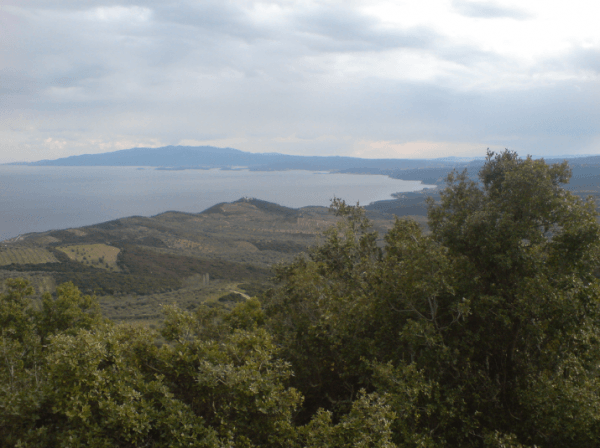 Φτάνοντας στο Μεταγκίτσι