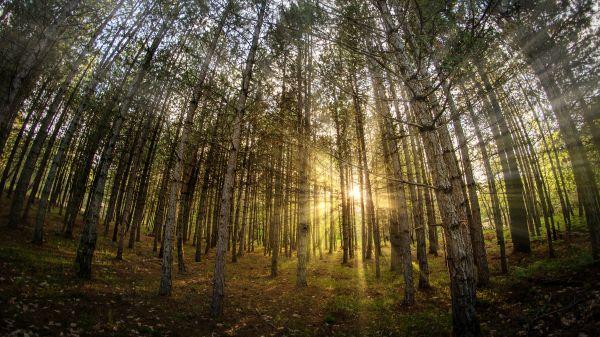 Διαδρομές του Ίταμου- Ντραγουντέλι