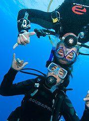 Shark Fin Scuba Diving Center