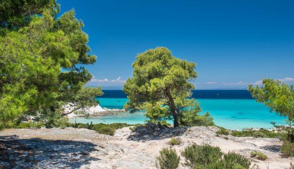 Καβουρότρυπες