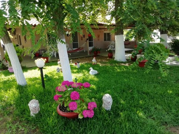 Studios Λεμονής - Ζωή