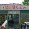 Ταβέρνα Μιμοζα